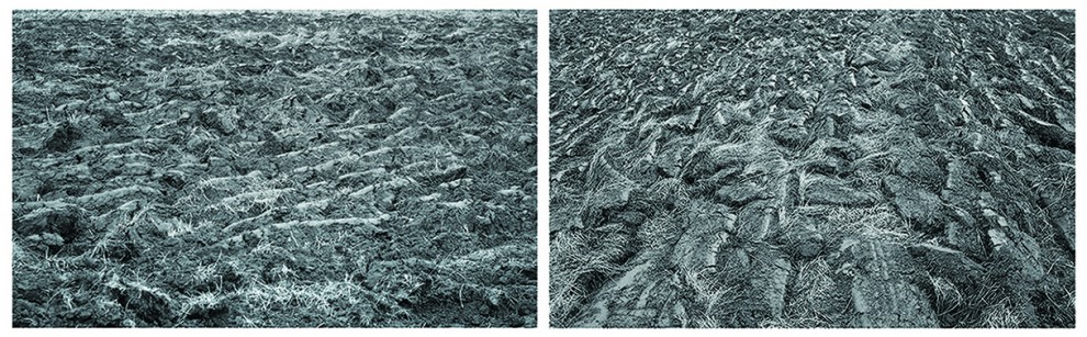 Obrządek I | fotografia cyfrowa | odbitka 8,5x14 cm cm